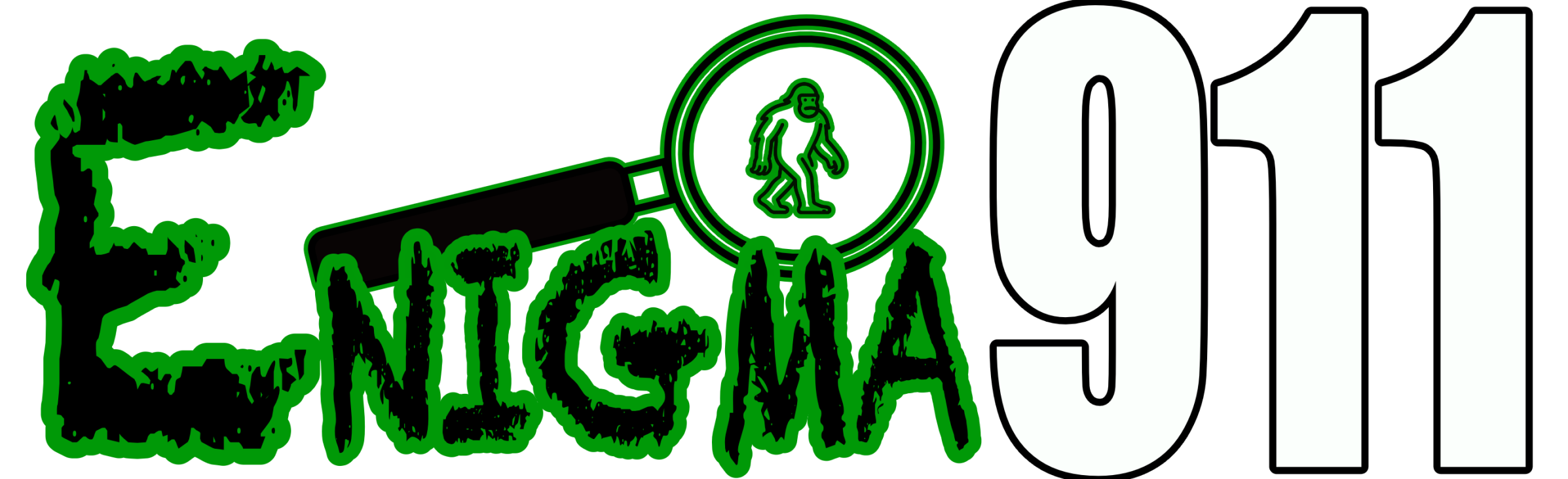 ENIGMA 911